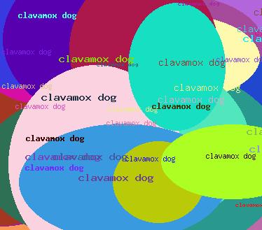 Clavamox dog
